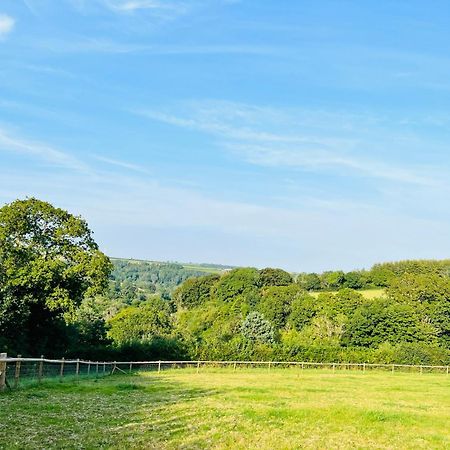 1 Bedroom Holiday Let In The Heart Of West Wales كرمرثن المظهر الخارجي الصورة