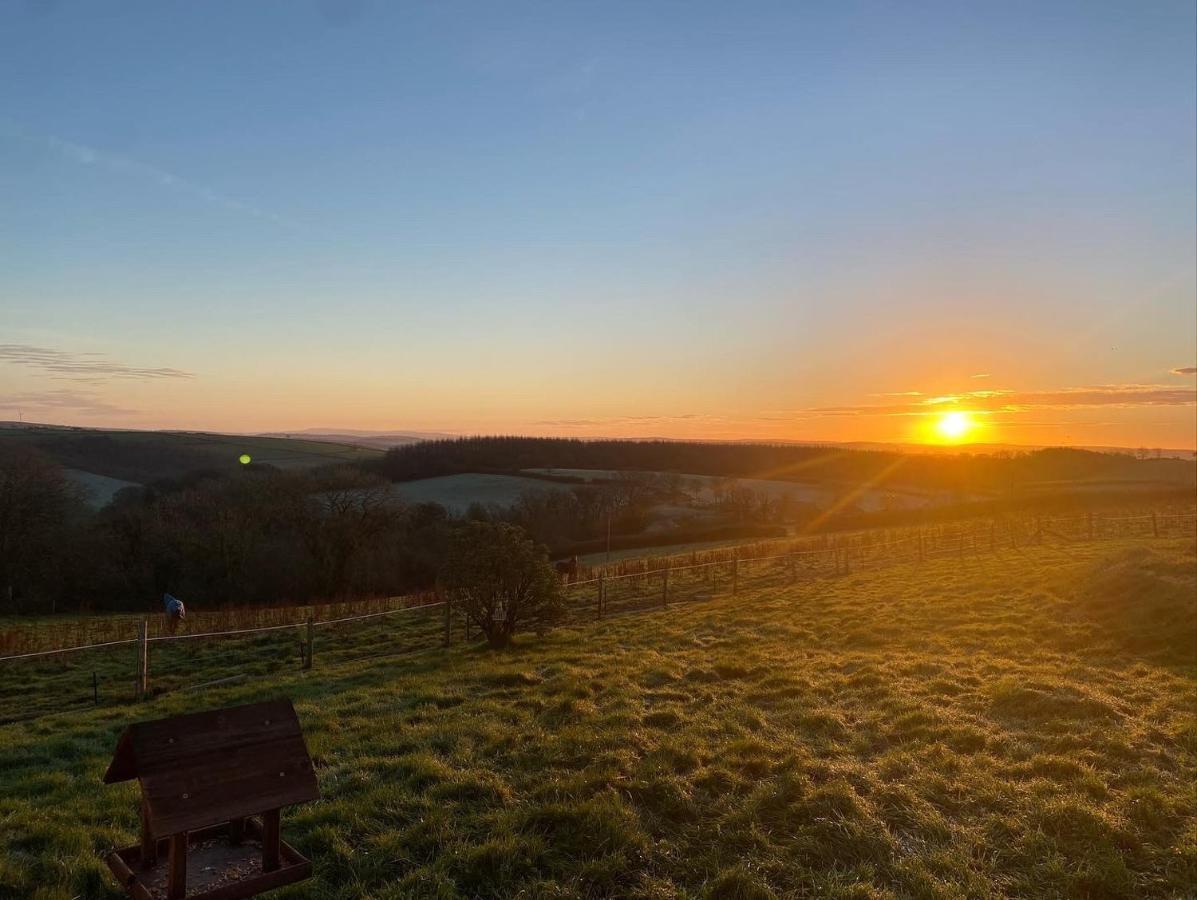 1 Bedroom Holiday Let In The Heart Of West Wales كرمرثن المظهر الخارجي الصورة